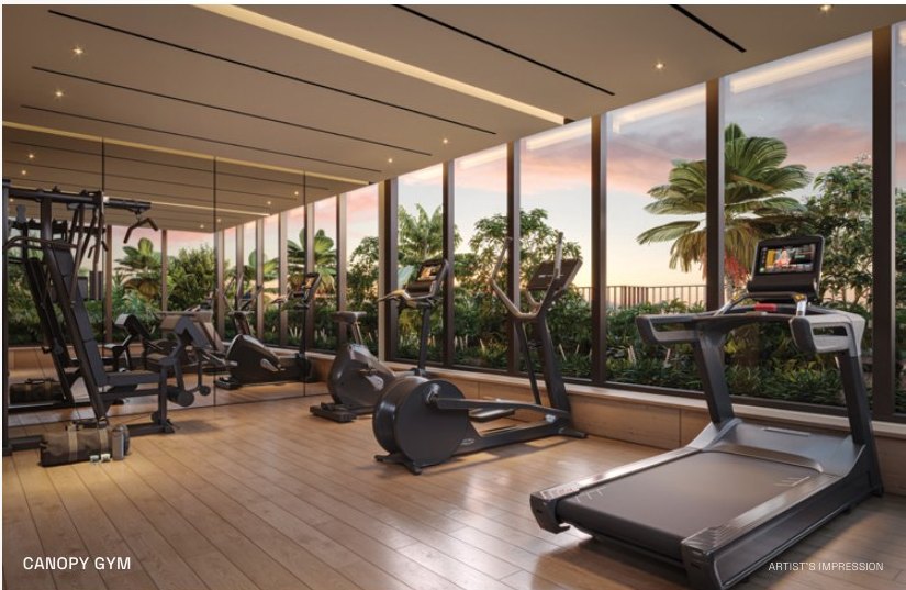 Canopy Gym (artist’s impression)